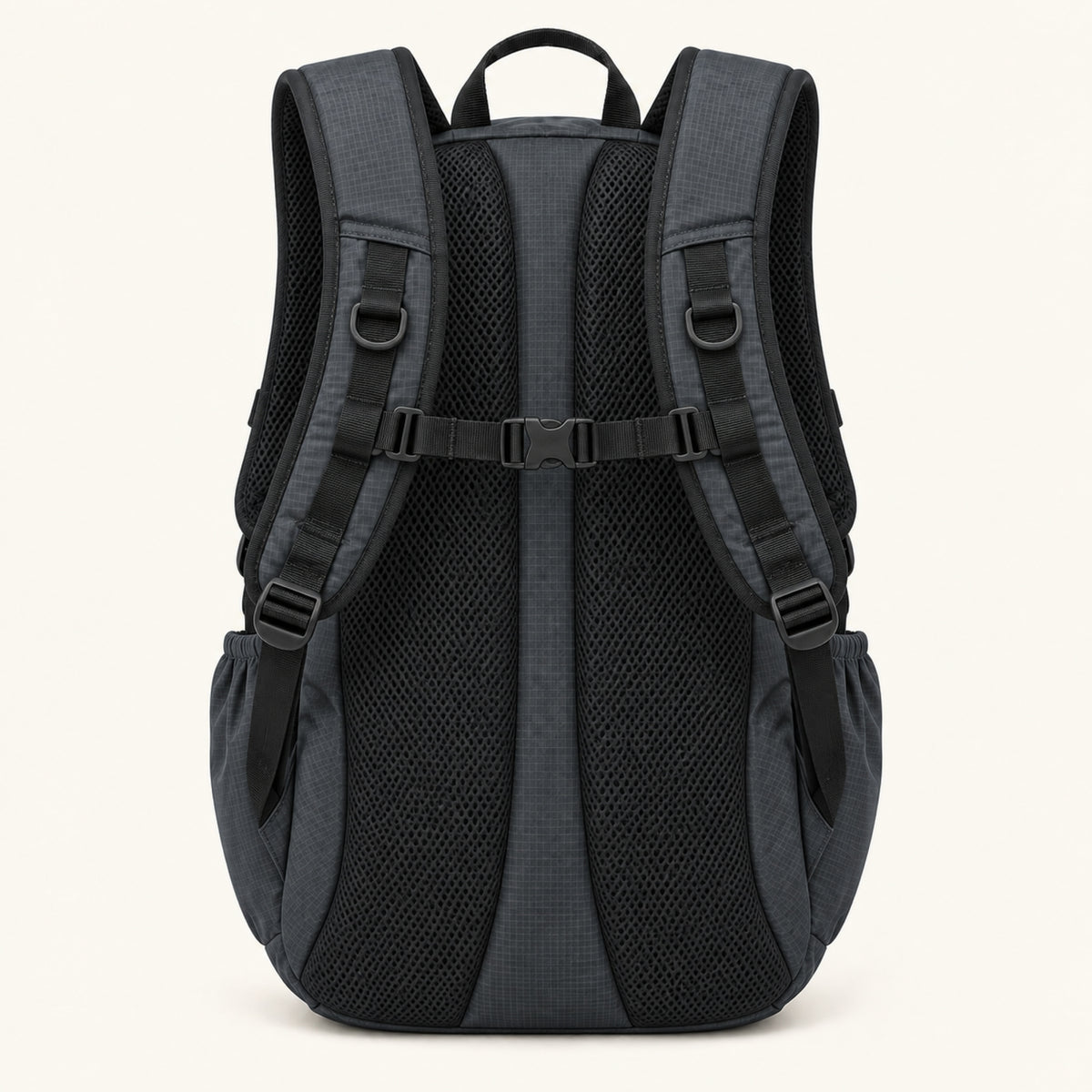 Alpine 20L Day Pack